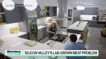 Lab-Grown Chicken Becomes Expensive Silicon Valley Mess