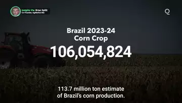 Bad Weather May Reduce Brazil Grain Harvest | Presented by CME Group