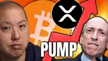 Bitcoin FOMO Spreads Globally | XRP PUMPS Over 10%