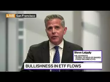 BlackRock's Laipply Says ETF Investors Somewhat Cautious