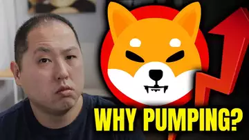 SHIBA INU IS PUMPING - SHOULD YOU SELL DOGE FOR SHIB?