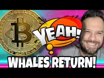 Crypto Whales Are Loading Up In These Meme Coins For The Upcoming Bull Market Rally!