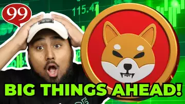 Shiba Inu Could Make You a Crypto Millionaire!!! Shiba Inu News!