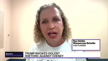 Trump Rhetoric 'Endangering' Cheney: Wasserman Shultz