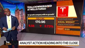 Tesla Downgraded, Texas Roadhouse Upgraded, TriPointe Upgraded on Pricing Strength | Top Calls