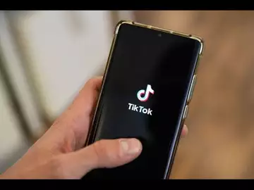 Ives Says a TikTok Ban Won't Happen Under Trump