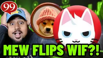 MEW COIN WILL FLIP DOGWIFHAT?! IS MEW COIN THE NEXT SHIBA INU?!