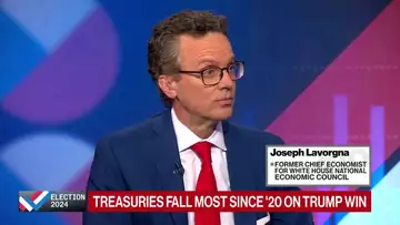 Trump Economist on Tariffs and Tax Cuts in Second Term