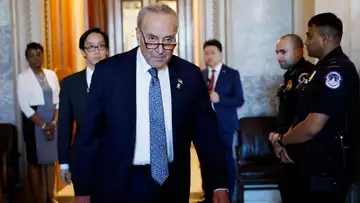 Schumer Calls for Israel Election in Break With Netanyahu