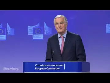 Barnier Says Brexit Transition Not a Given if Disagreements Persist