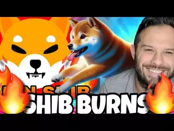 Shiba Inu Coin Burns Rise As Memes Like Dogeverse Should Launch Soon!