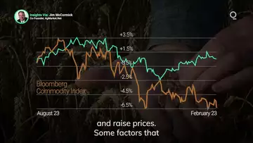 How Does a Strong Dollar Impact Commodities? | Presented by CME Group