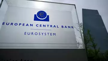 Citi's Singal: One and Done for ECB 'Realistic'