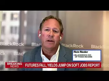 BlackRock's Rieder Still Expects Fed Rate Hike in July