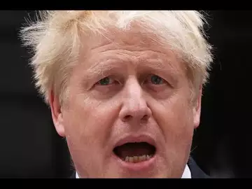 Boris Johnson Caused Untold Damage to UK, Posen Says