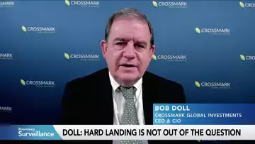 Hard Landing Is Not Out of the Question, Says Crossmark’s Doll