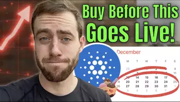 Cardano Gives MASSIVE News!  This Is What We NEEDED And You Only Have To Wait A Few Weeks!