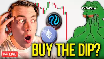 Time To Buy The Dip? THESE Altcoins Will Bounce Hardest