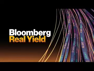 Bloomberg Real Yield 11/15/2024