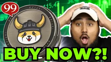 FLOKI MASSIVE $12,000,000 BUY IN!! SHOULD YOU BUY FLOKI INU COIN!?