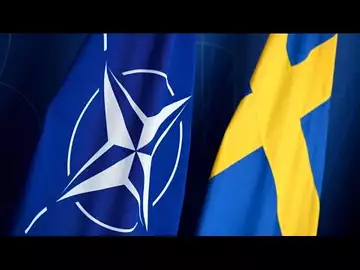 Turkey Approves Sweden's NATO Accession, Hungary Blocking Bid