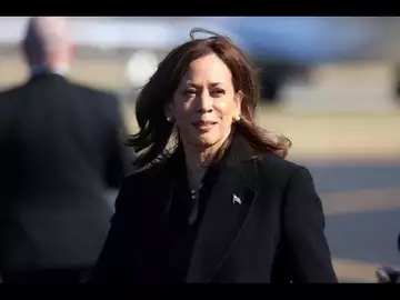 Kamala Harris Seeks to Capitalize on Trump's Alleged Praise of Hitler #politics