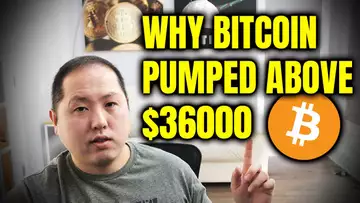 Why Bitcoin Pumped Above $36,000 | Bill Miller Loves BTC