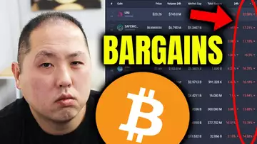 BARGAIN HUNTING AFTER THE BITCOIN DIP | WHICH ALTCOINS?