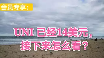 UNI已经14美元，接下来怎么看？～会员专享103