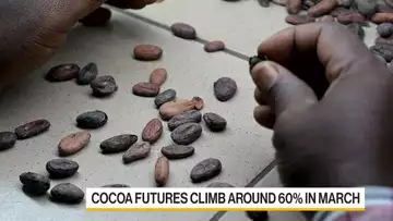 Cocoa Surges to New Record