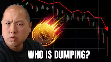 Who is DUMPING Bitcoin?  Is the Bottom Near?