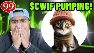 $CWIF IS PUMPING!!! WILL CAT WIF HAT MAKE MILLIONAIRES?!