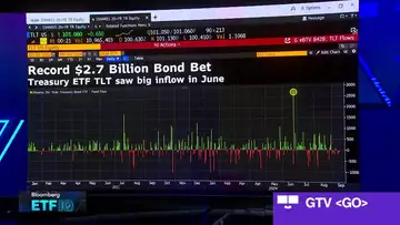 Northwestern Mutual's Schutte on $2.7B Bond Bet