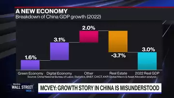 McVey: China is Not the Same Global Growth Engine Anymore