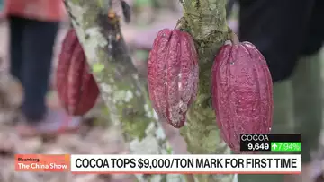 Cocoa Is More Expensive Than Copper as It Tops $9,000