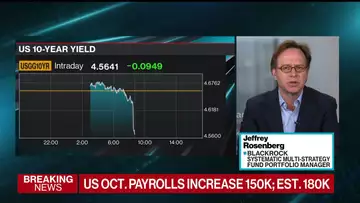 Jobs Data Supports a Slowing Narrative: BlackRock’s Rosenberg