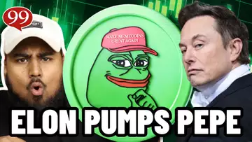 ELON MUSK IS PUMPING PEPE!! IS PEPE THE NEXT DOGECOIN?!