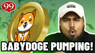 BABYDOGE COIN LISTED ON BINANCE!!! MASSIVE PUMP INCOMING!!!