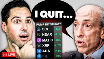 THESE ALTCOINS WILL PUMP ONCE SEC CHAIRMAN RESIGNATION IS CONFIRMED!