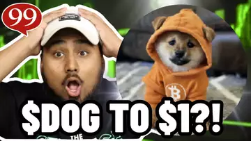 $DOG TO $1?! Dog Go To Moon Coin Is PUMPING!! Should you BUY $DOG?!