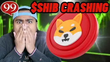 SHIBA INU IS CRASHING!!? BUY NOW?! SHIBA INU PRICE UPDATE!