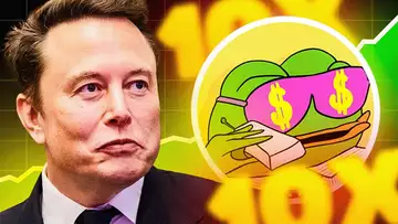 Elon Musk PUSO A PEPE en su foto de perfil! SUBIRÁ DE PRECIO?