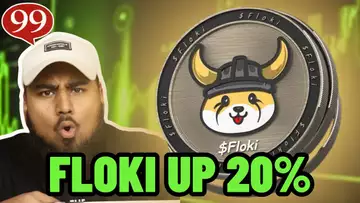 FLOKI INU IS UP MORE THAN 20% **BUY $FLOKI NOW?!**