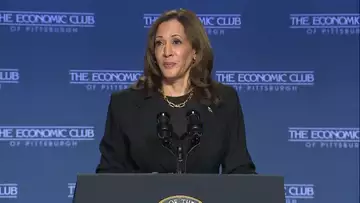 Harris Says She's a Pro-Labor 'Capitalist'