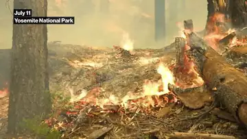 Yosemite Fire Threatens 2,000 Year Old Sequoia Trees