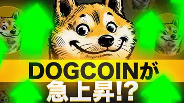 DOGCOINが急騰！？このトークンは何者なのか？大丈夫なの？