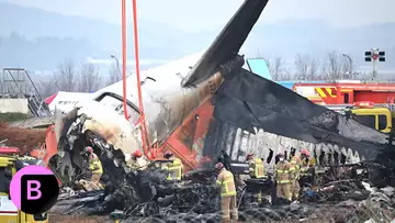 Jeju Air Crash That Killed 179 Poses Bird-Strike Mystery