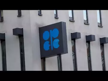 OPEC Cannot Replace Russia, Says FGE’s Fesharaki