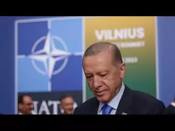 NATO Summit: Sweden Gets a Boost From Turkey