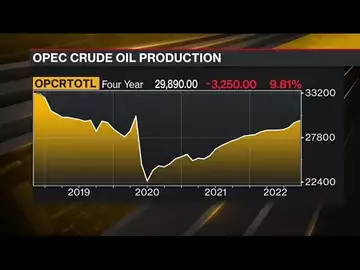 OPEC Trims Oil-Demand Outlook, Making Case for Its Supply Cut